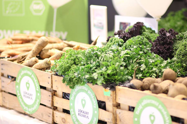 15055800 218414105246652 9192254294428647084 n kopia