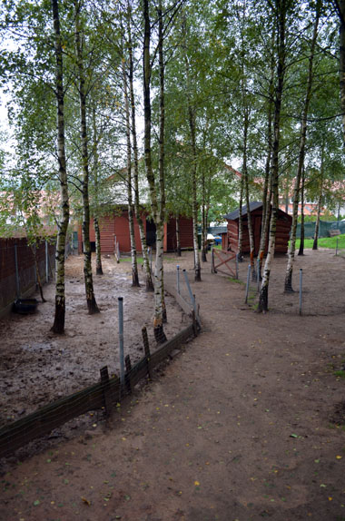 mapa mamy kompleks swietokrzyska polana 09