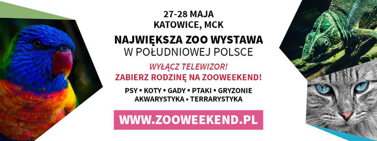 KAtowice zooweekend