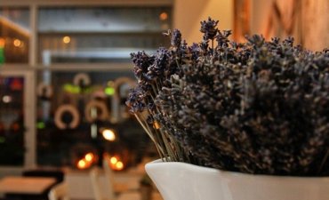 źródło: http://www.lavendacafe.pl