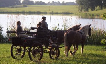 źródło: http://www.palac-galiny.pl