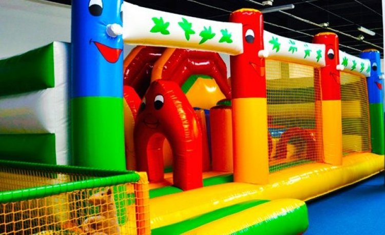 źródło: http://www.fikusmyku.pl