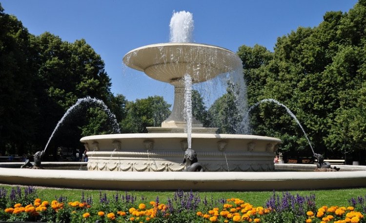 źródło: www.zom.waw.pl