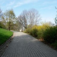 źródło: www.zielona.um.warszawa.pl
