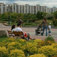 źródło: www. zielona.um.warszawa.pl