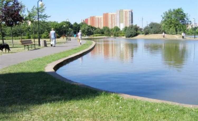 źródło: www. zielona.um.warszawa.pl