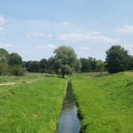 źródło: www. zielona.um.warszawa.pl