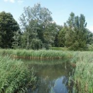 źródło: www. zielona.um.warszawa.pl