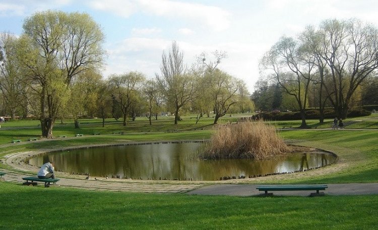 źródło: www.wikipedia.org