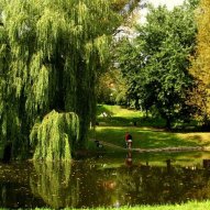 źródło: www.zielona.um.warszawa.pl