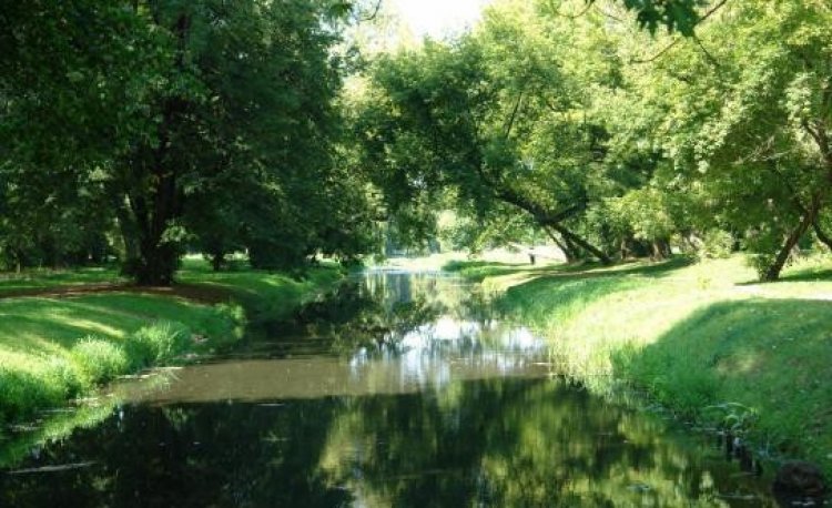  źródło: www.zielona.um.warszawa.pl