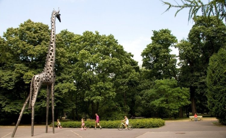 źródło: www.zom.waw.pl