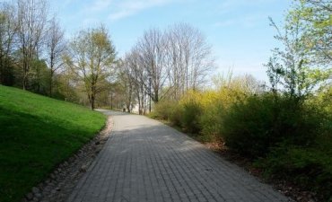 źródło: www.zielona.um.warszawa.pl