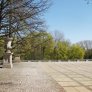 źródło: www. zielona.um.warszawa.pl