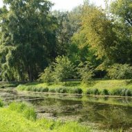  źródło: www.zielona.um.warszawa.pl