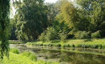 źródło: www.zielona.um.warszawa.pl