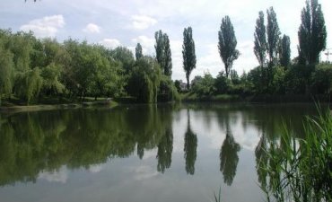 źródło: www.zielona.um.warszawa.pl