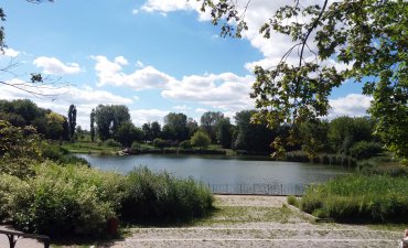 źródło: mapamamy.pl