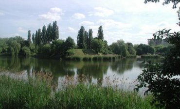 źródło: www.zielona.um.warszawa.pl
