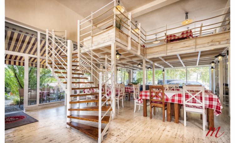 źródło: http://focha42.pl