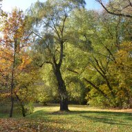 źródło: http://www.zzm.lodz.pl