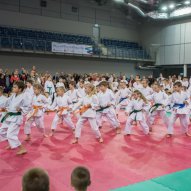 źródło: www.karatedo.krakow.pl/