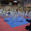 źródło: www.karatedo.krakow.pl/