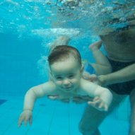 źródło: www.basen-muszelka.pl