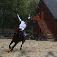 źródło: http://www.twinpigs.zory.pl