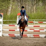 źródło: www.kkjk.pl/galeria