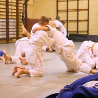 źródło: www.judo-poznan.pl/galeria/