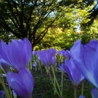 źródło: www.poznan.pl