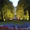 źródło: www.poznan.pl