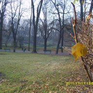 źródło: www.ekocentrum.krakow.pl