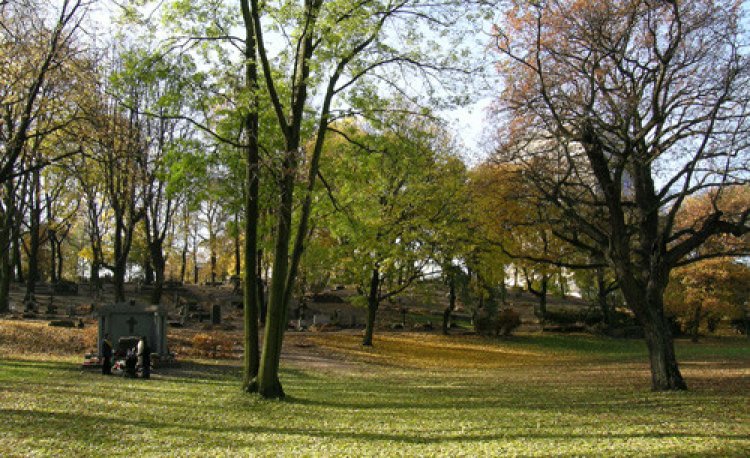 źródło: www.poznan.pl