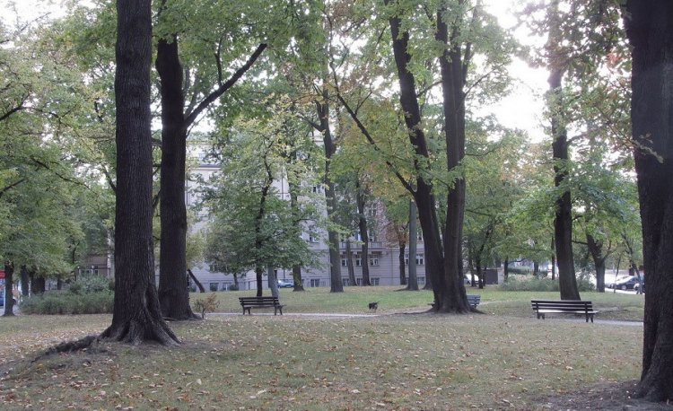 źródło: www.wikipedia.org