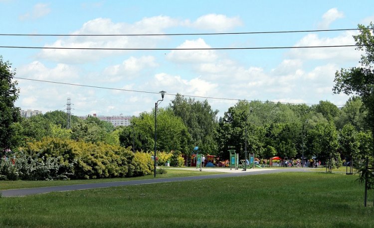 źródło: www.wikipedia.org