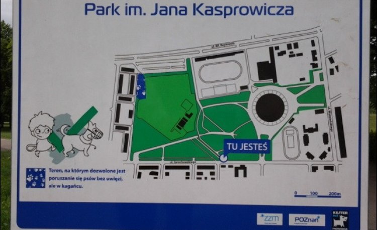 źródło: www.wikipedia.org