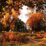 źródło: www.wikipedia.org