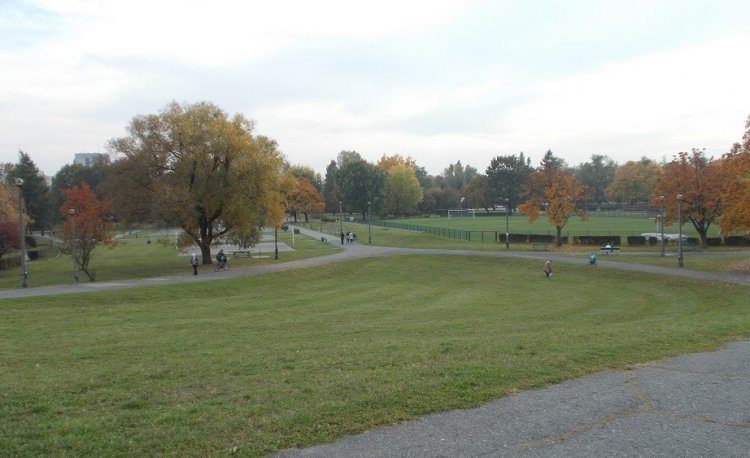 źródło: www.ekocentrum.krakow.pl