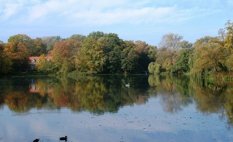 źródło: www.wikipedia.org