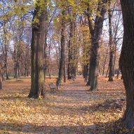 źródło: www.ekocentrum.krakow.pl