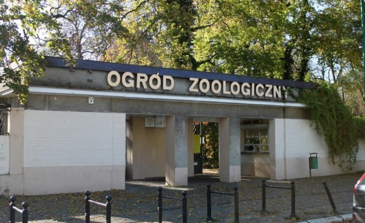 źródło: www.wikipedia.org