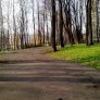 źródło: www.ekocentrum.krakow.pl