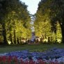 źródło: www.poznan.pl