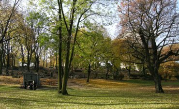 źródło: www.poznan.pl