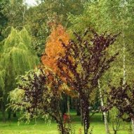 źródło: www.ekocentrum.krakow.pl
