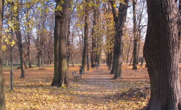 źródło: www.ekocentrum.krakow.pl