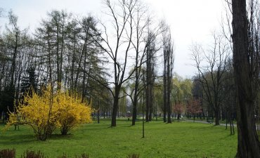 źródło: www.wikipedia.org