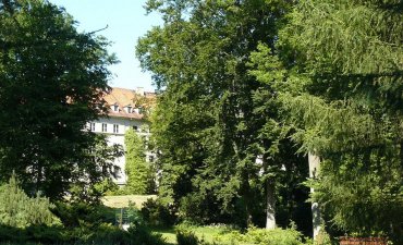 źródło: www.wikipedia.org